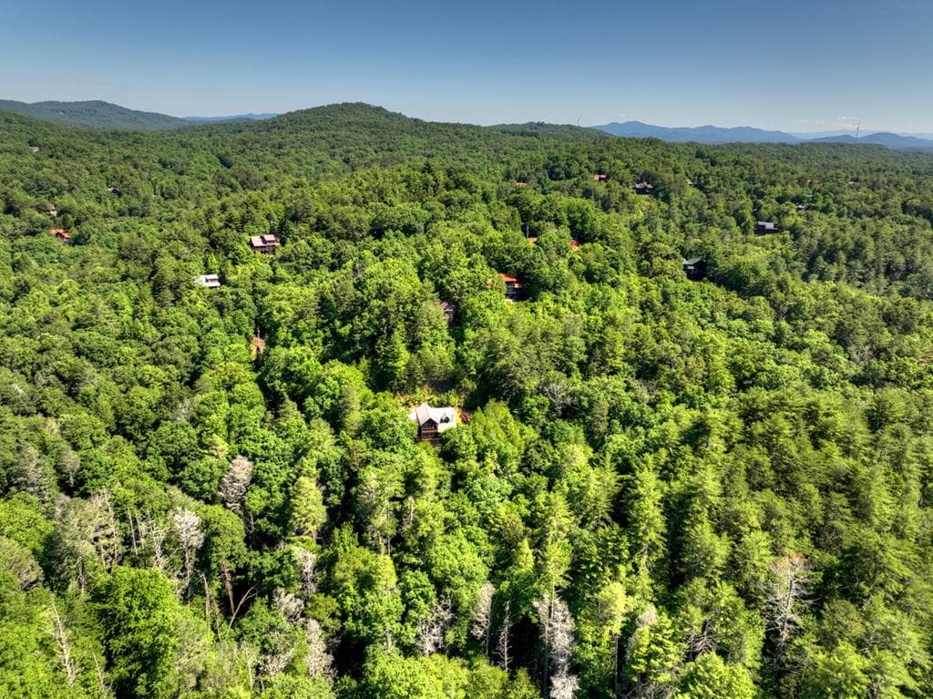 260 Down Under Road, Blue Ridge GA 30513 - Photo