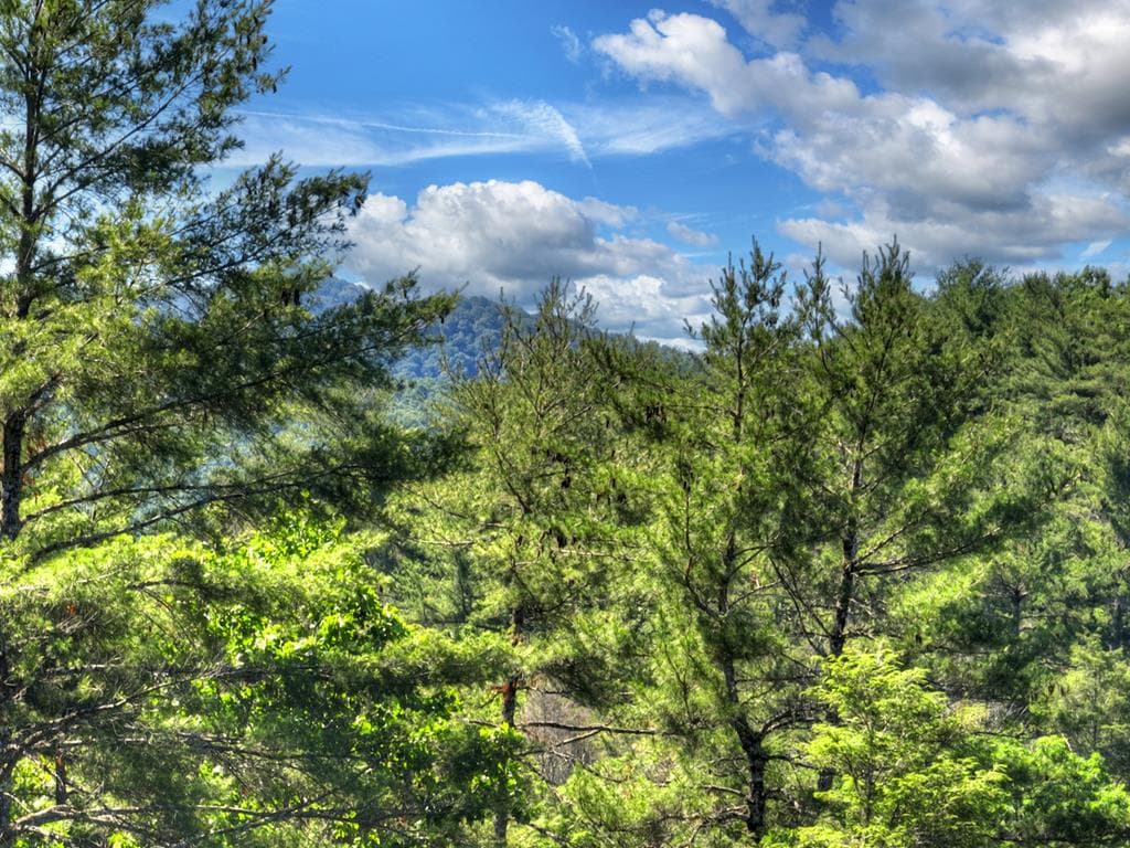 260 Down Under Road, Blue Ridge GA 30513 - Photo