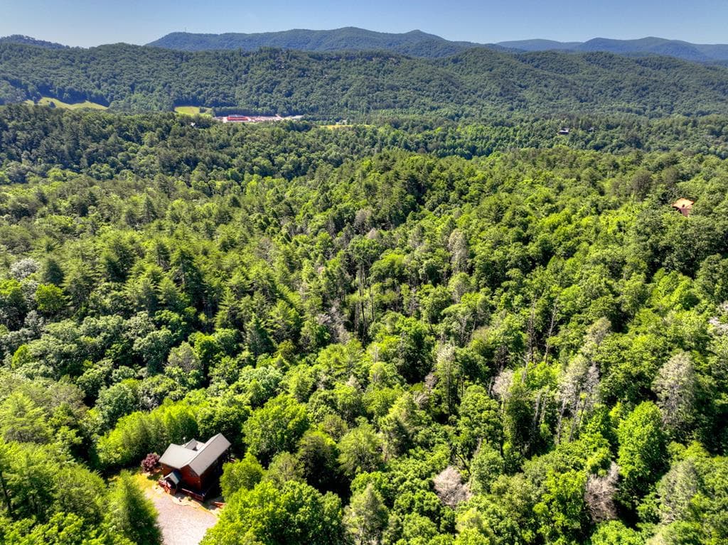 260 Down Under Road, Blue Ridge GA 30513 - Photo