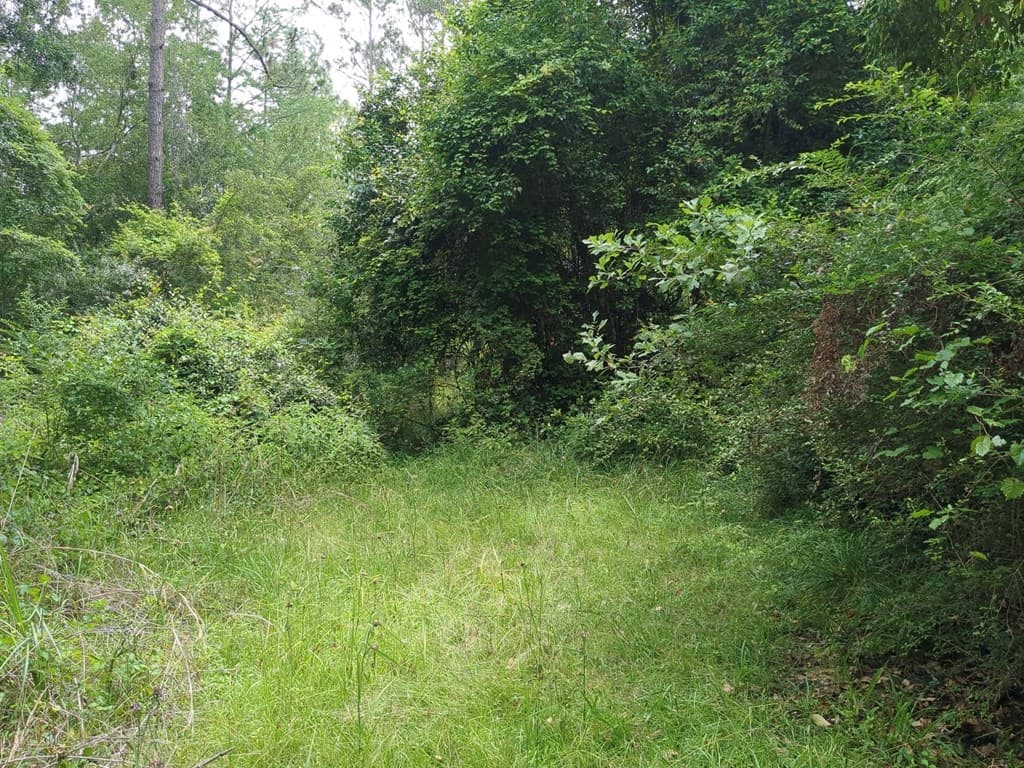 703 Parrish Avenue, Sparks GA 30612 - Photo