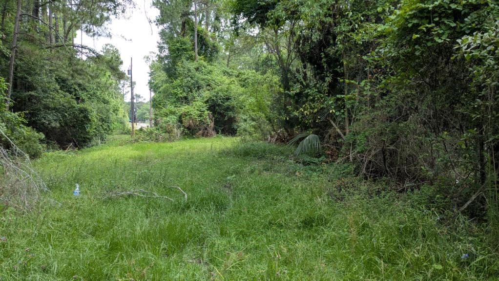 703 Parrish Avenue, Sparks GA 30612 - Photo