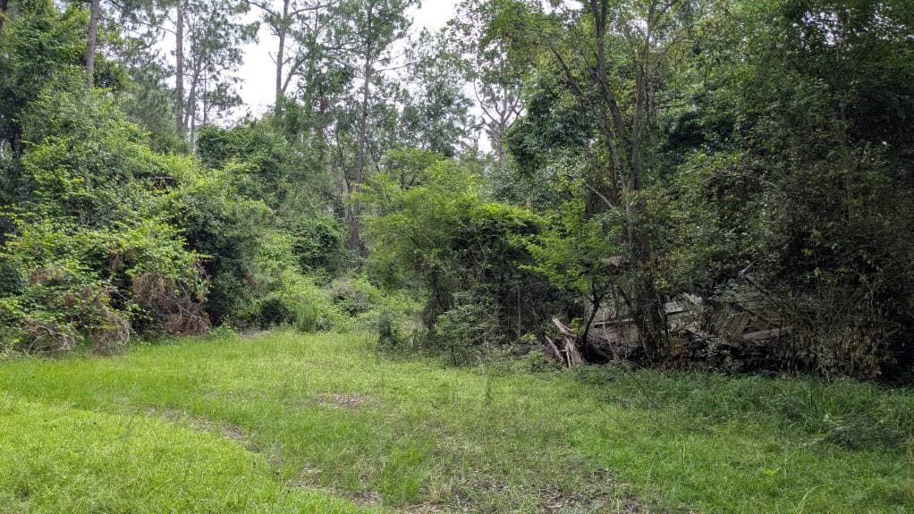 703 Parrish Avenue, Sparks GA 30612 - Photo