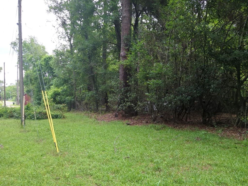 703 Parrish Avenue, Sparks GA 30612 - Photo