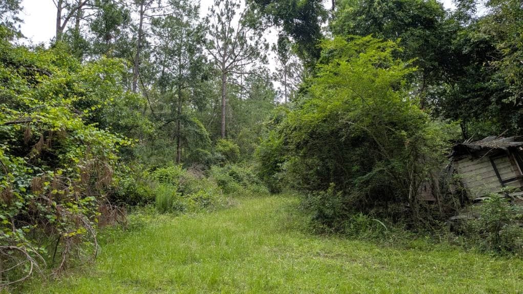703 Parrish Avenue, Sparks GA 30612 - Photo