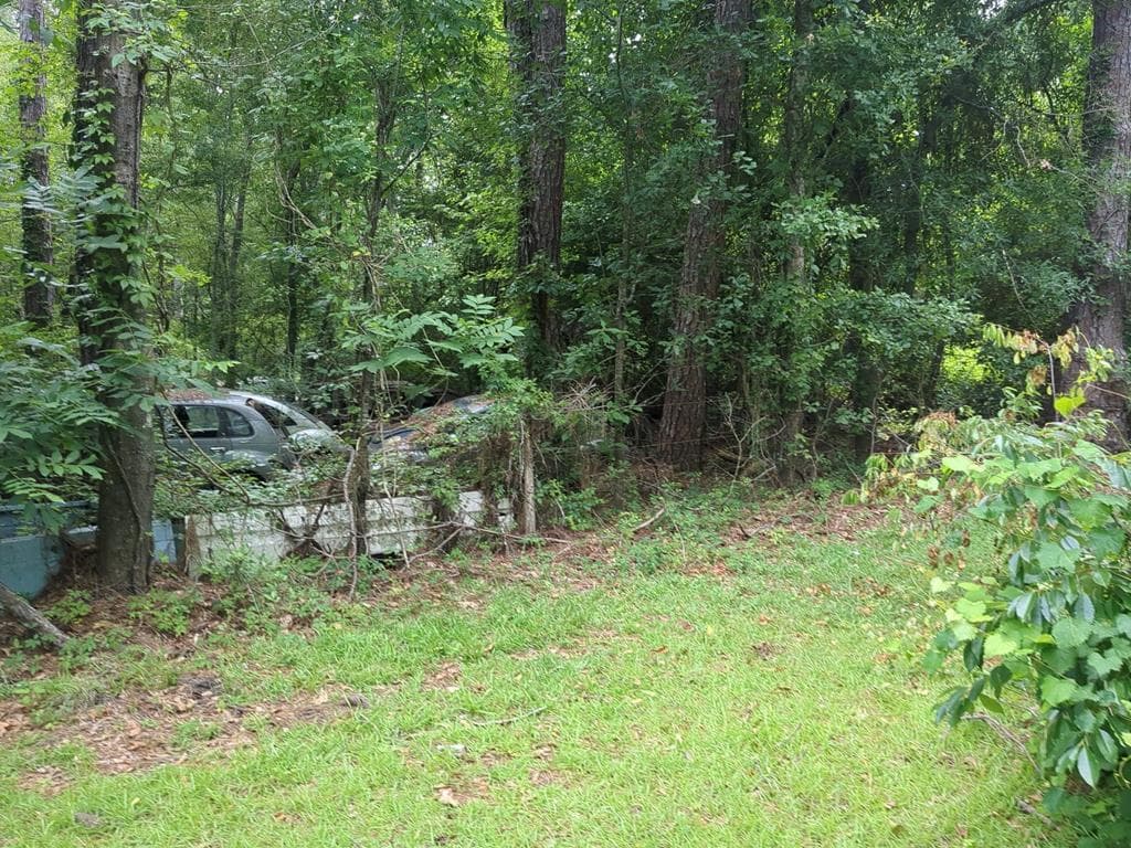 703 Parrish Avenue, Sparks GA 30612 - Photo