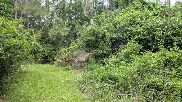 703 Parrish Avenue, Sparks GA 30612 - Photo