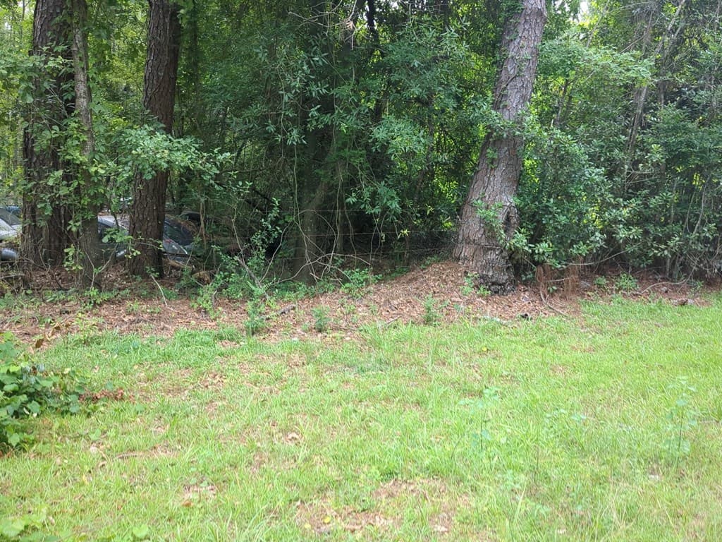 703 Parrish Avenue, Sparks GA 30612 - Photo