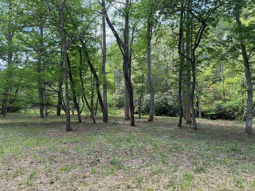 Lot 5 Double Creek Drive, Suches GA 30572 - Photo