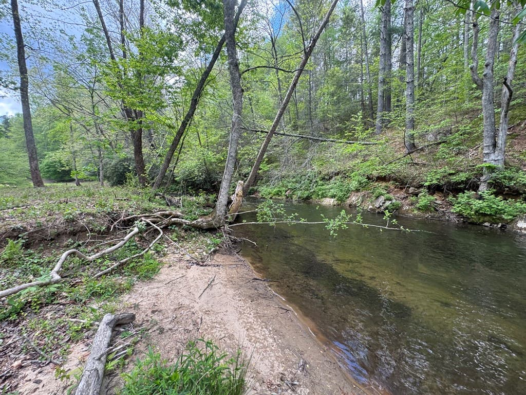 Lot 5 Double Creek Drive, Suches GA 30572 - Photo