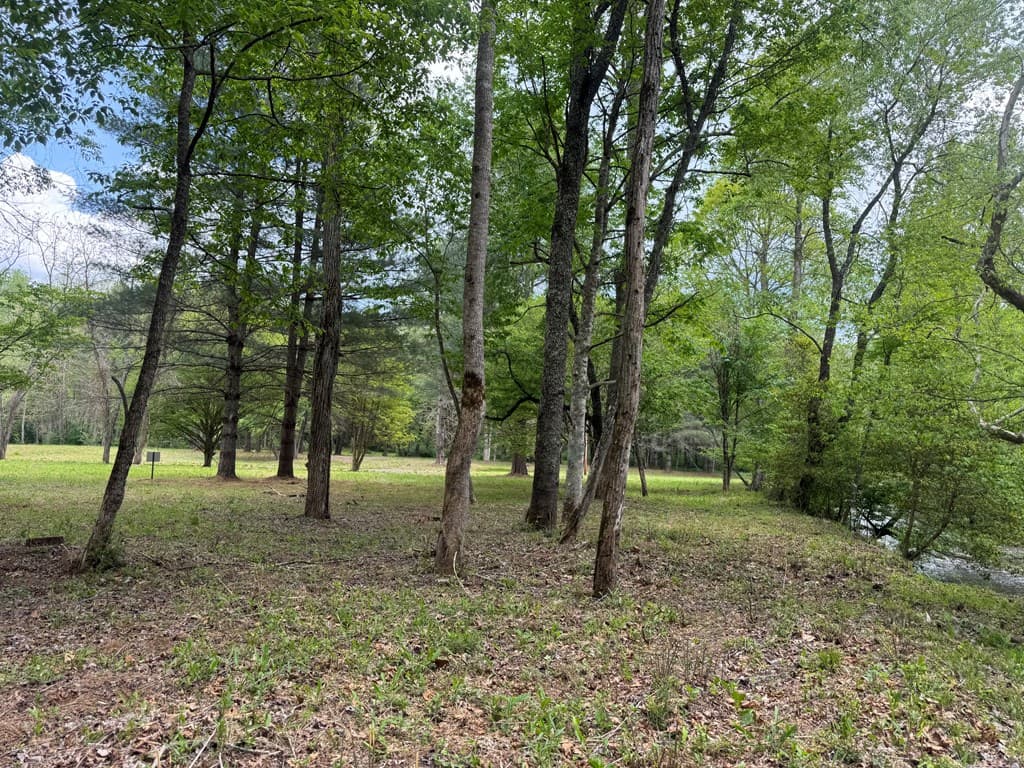 Lot 5 Double Creek Drive, Suches GA 30572 - Photo