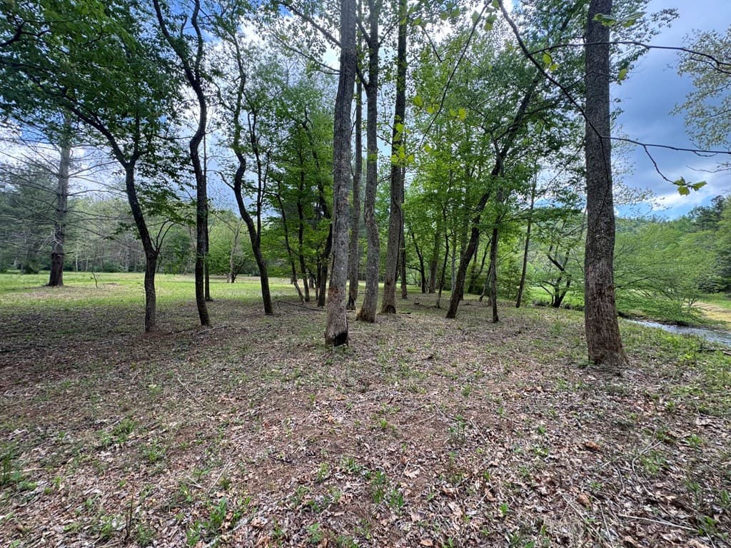 Lot 5 Double Creek Drive, Suches GA 30572 - Photo