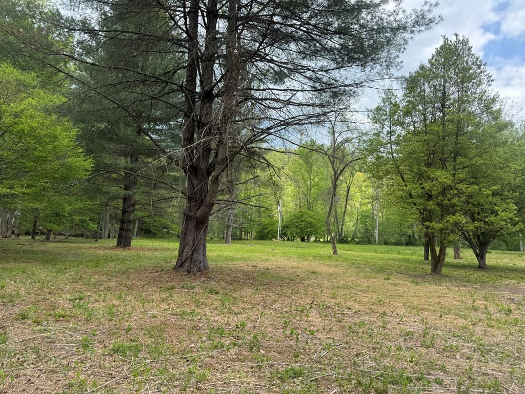 Lot 5 Double Creek Drive, Suches GA 30572 - Photo