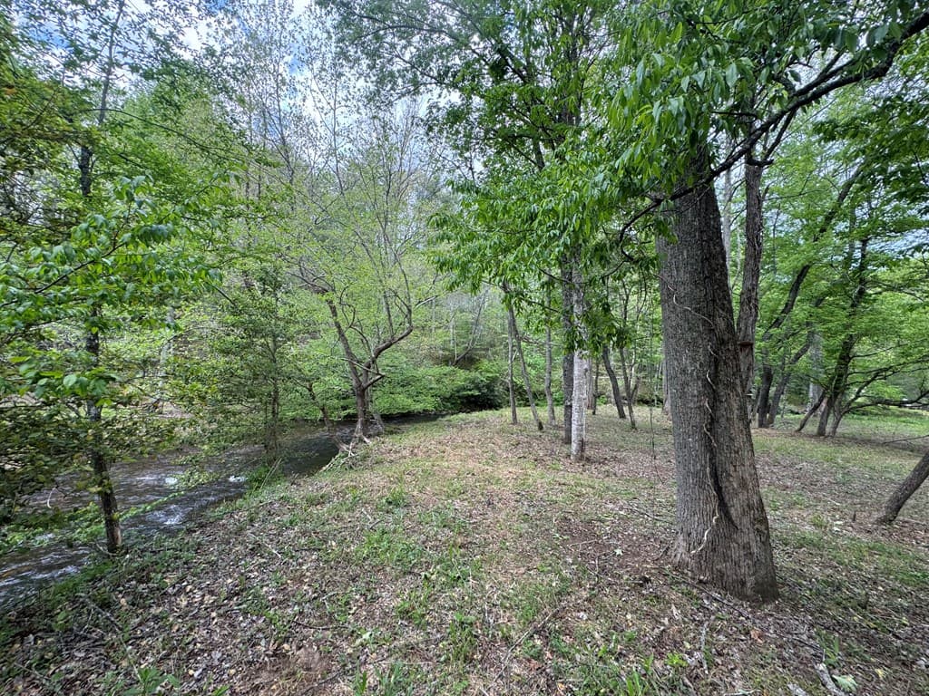 Lot 5 Double Creek Drive, Suches GA 30572 - Photo