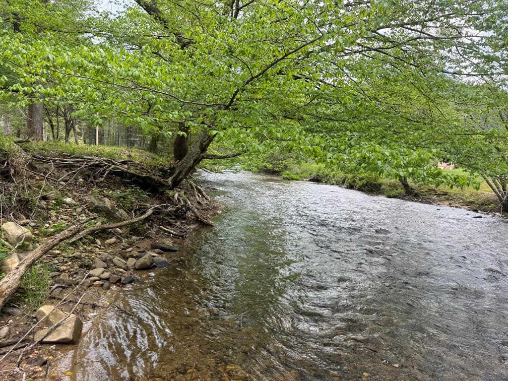 Lot 5 Double Creek Drive, Suches GA 30572 - Photo