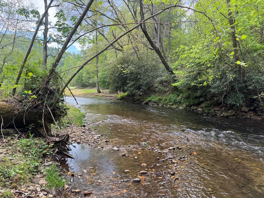 Lot 5 Double Creek Drive, Suches GA 30572 - Photo