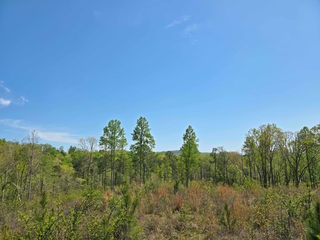 Lot 209 Oak Park Drive, Talking Rock GA 30175 - Photo
