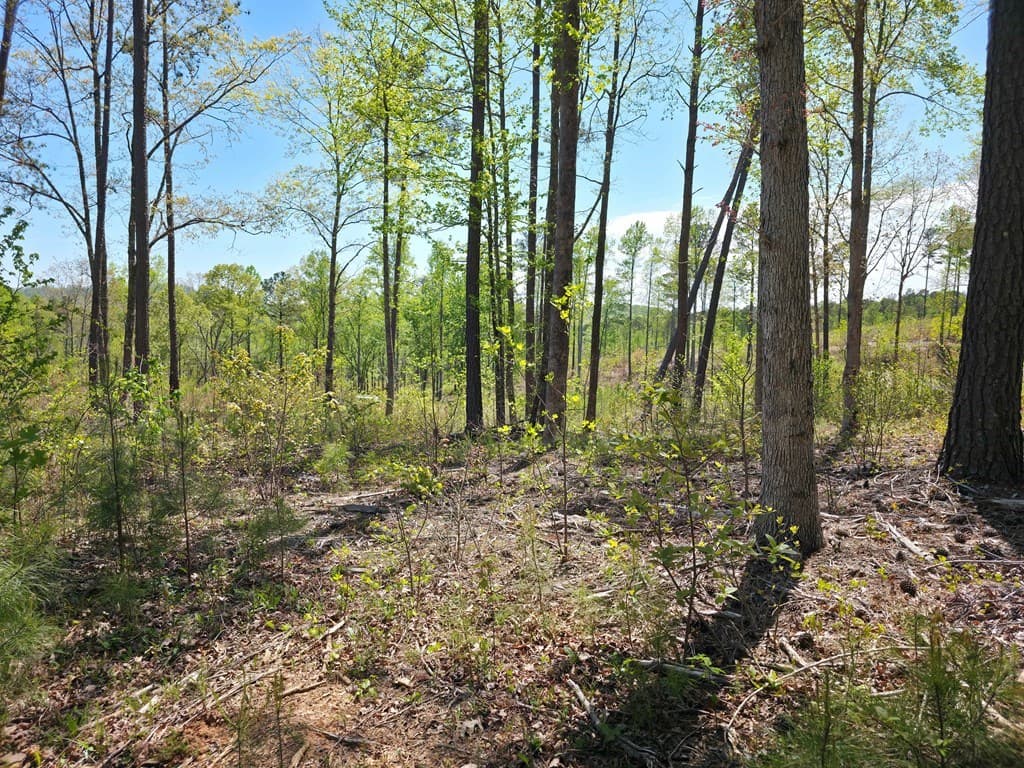 Lot 209 Oak Park Drive, Talking Rock GA 30175 - Photo