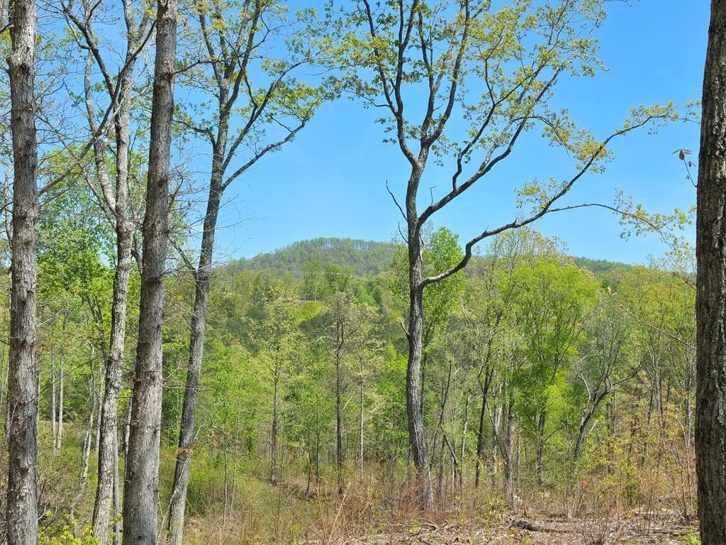 Lot 209 Oak Park Drive, Talking Rock GA 30175 - Primary photo