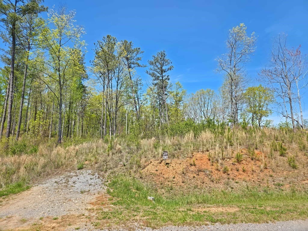 Lot 209 Oak Park Drive, Talking Rock GA 30175 - Photo