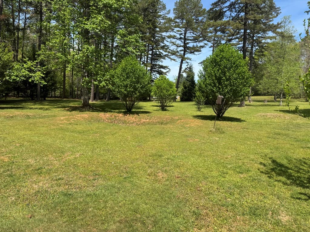33 Big Tree Road, Suches GA 30572 - Photo