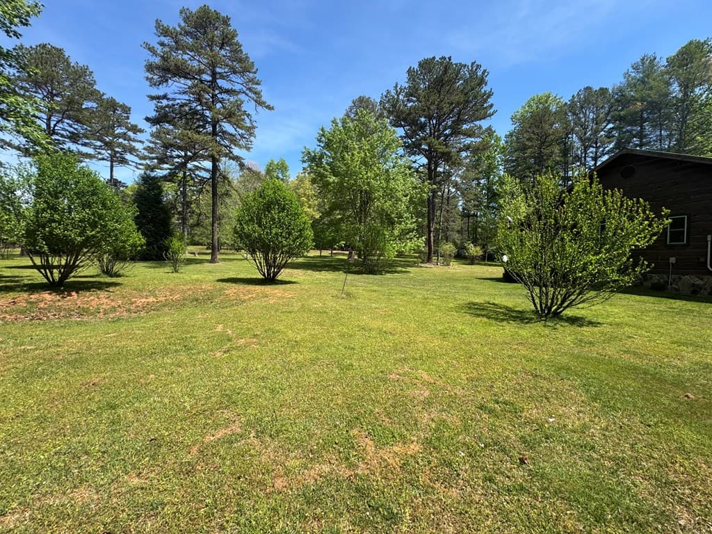33 Big Tree Road, Suches GA 30572 - Photo