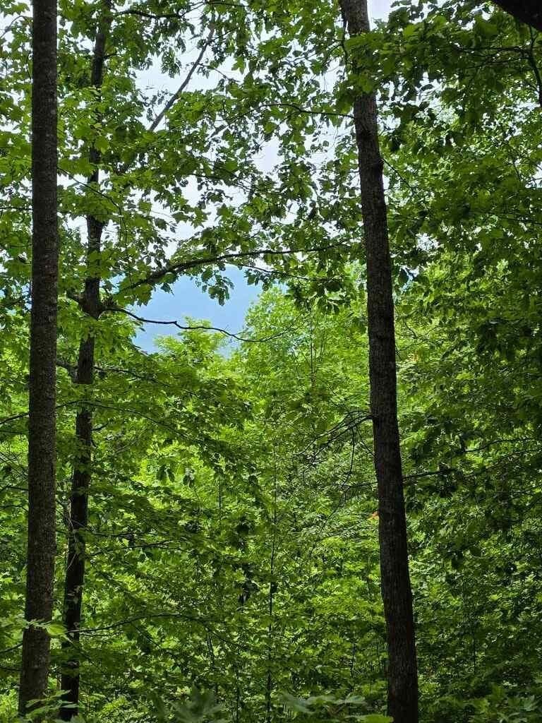 #28 Overlook Loop, Young Harris GA 30582 - Photo