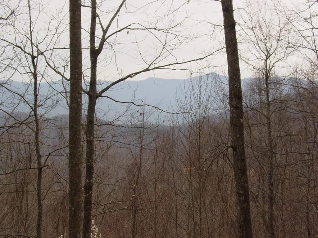 #28 Overlook Loop, Young Harris GA 30582 - Photo