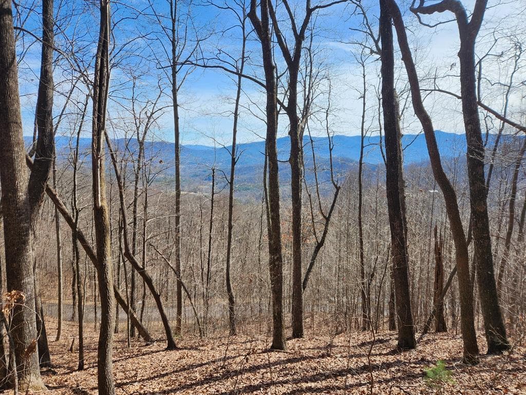 #28 Overlook Loop, Young Harris GA 30582 - Primary photo