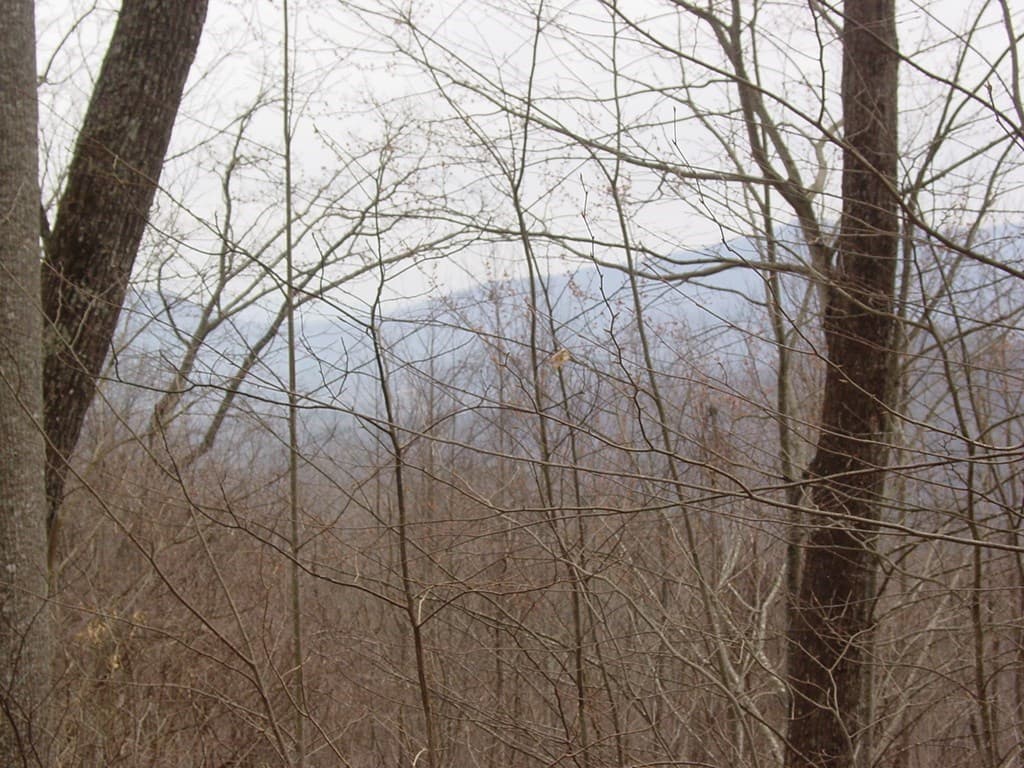 #28 Overlook Loop, Young Harris GA 30582 - Photo