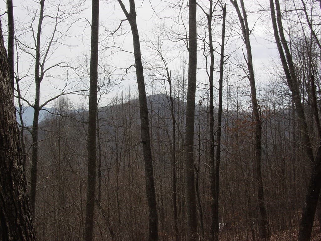 #28 Overlook Loop, Young Harris GA 30582 - Photo