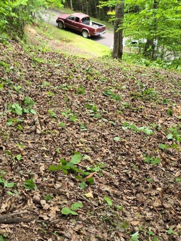 #28 Overlook Loop, Young Harris GA 30582 - Photo