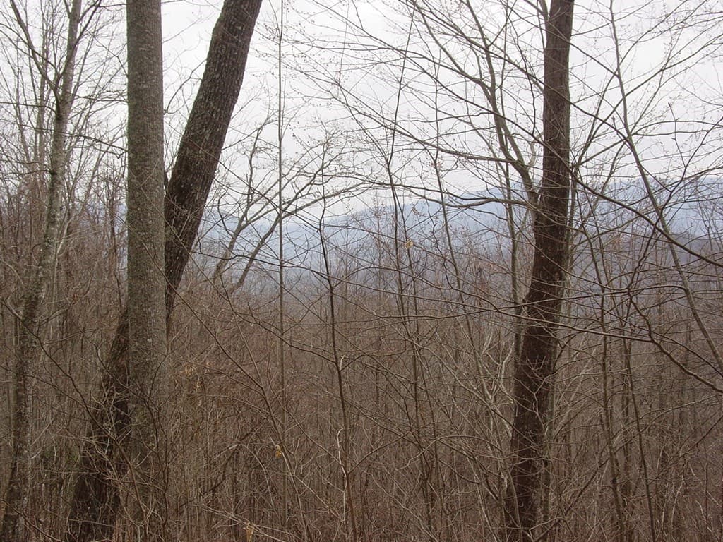 #28 Overlook Loop, Young Harris GA 30582 - Photo
