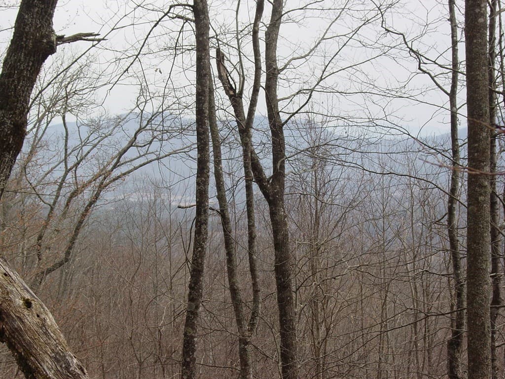 #28 Overlook Loop, Young Harris GA 30582 - Photo