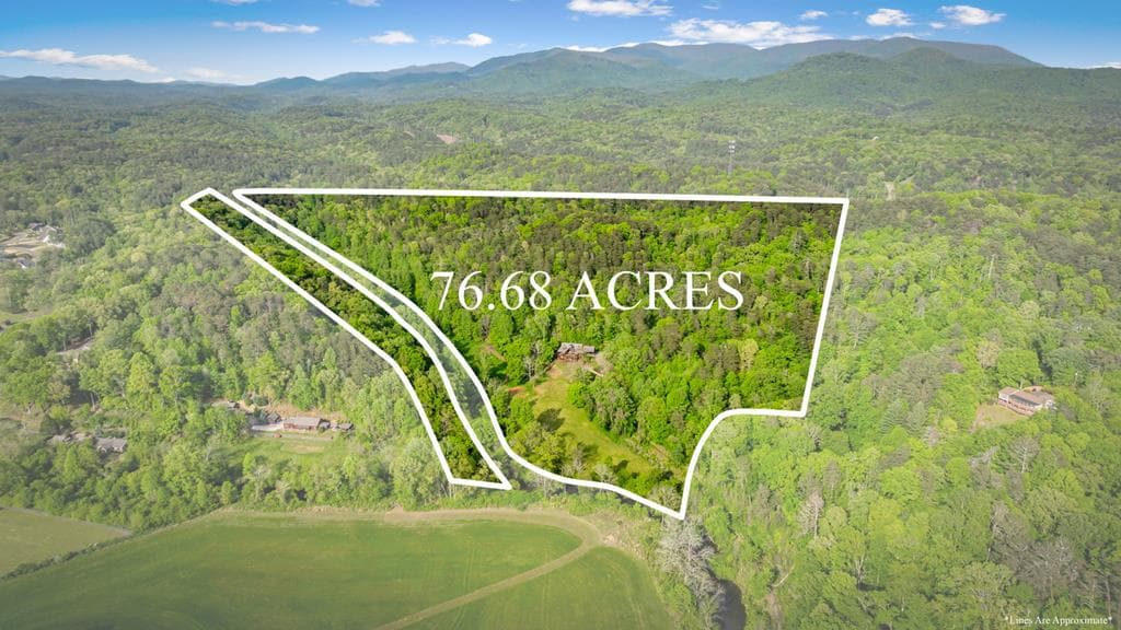 460 Wikle Drive, Ellijay GA 30540 - Photo