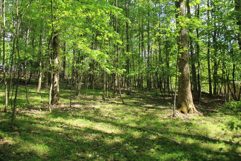 46 Chatuge Lane, Hayesville NC 28904 - Photo