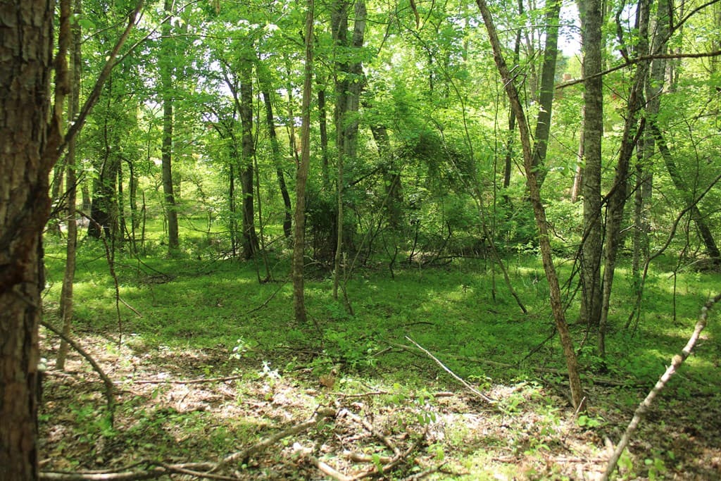 46 Chatuge Lane, Hayesville NC 28904 - Photo
