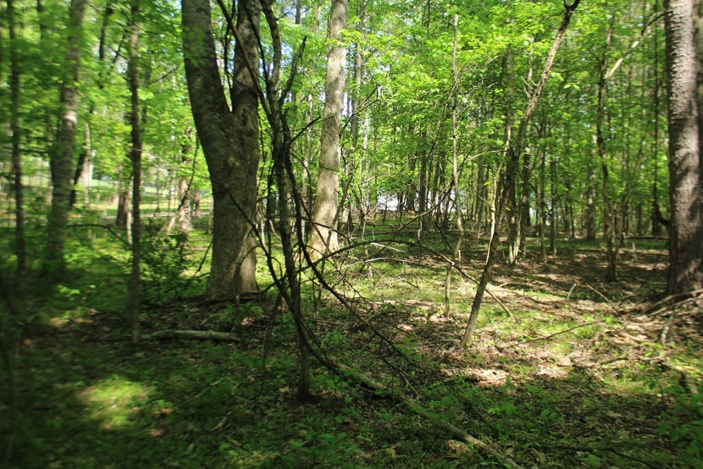 46 Chatuge Lane, Hayesville NC 28904 - Photo