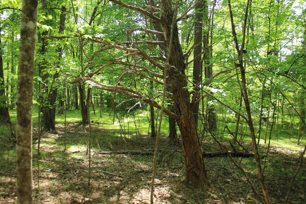 46 Chatuge Lane, Hayesville NC 28904 - Photo
