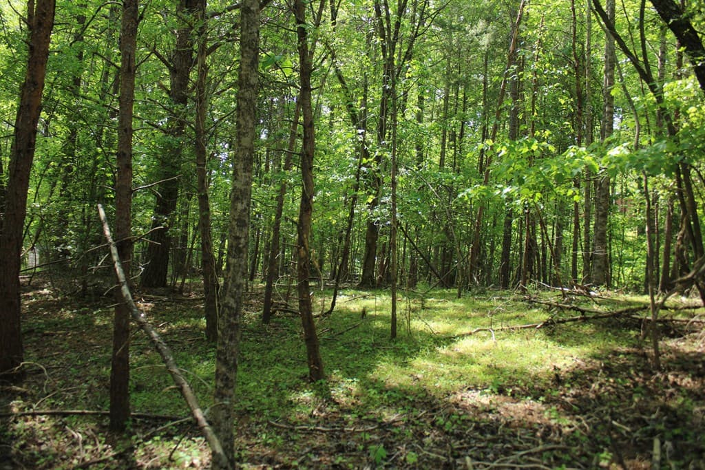 46 Chatuge Lane, Hayesville NC 28904 - Photo