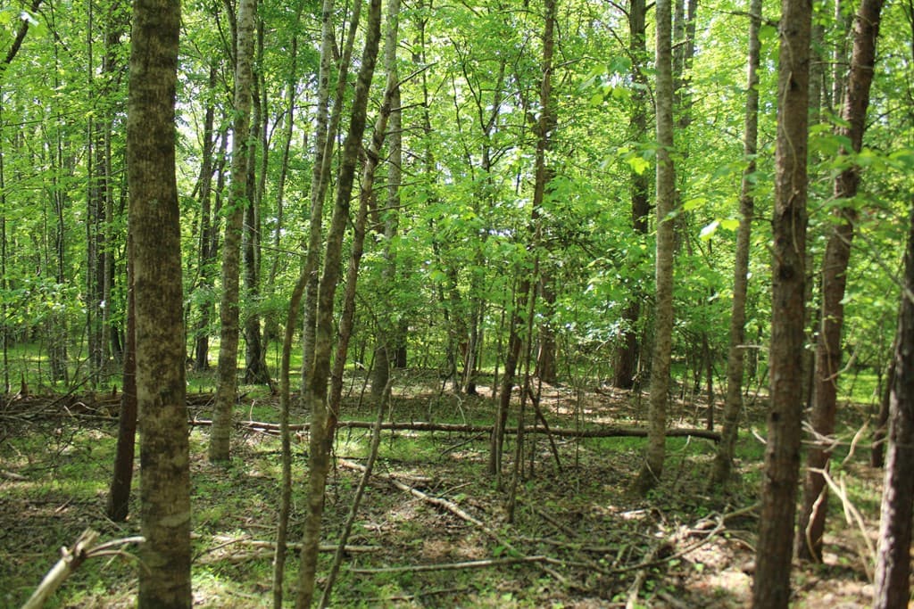 46 Chatuge Lane, Hayesville NC 28904 - Photo
