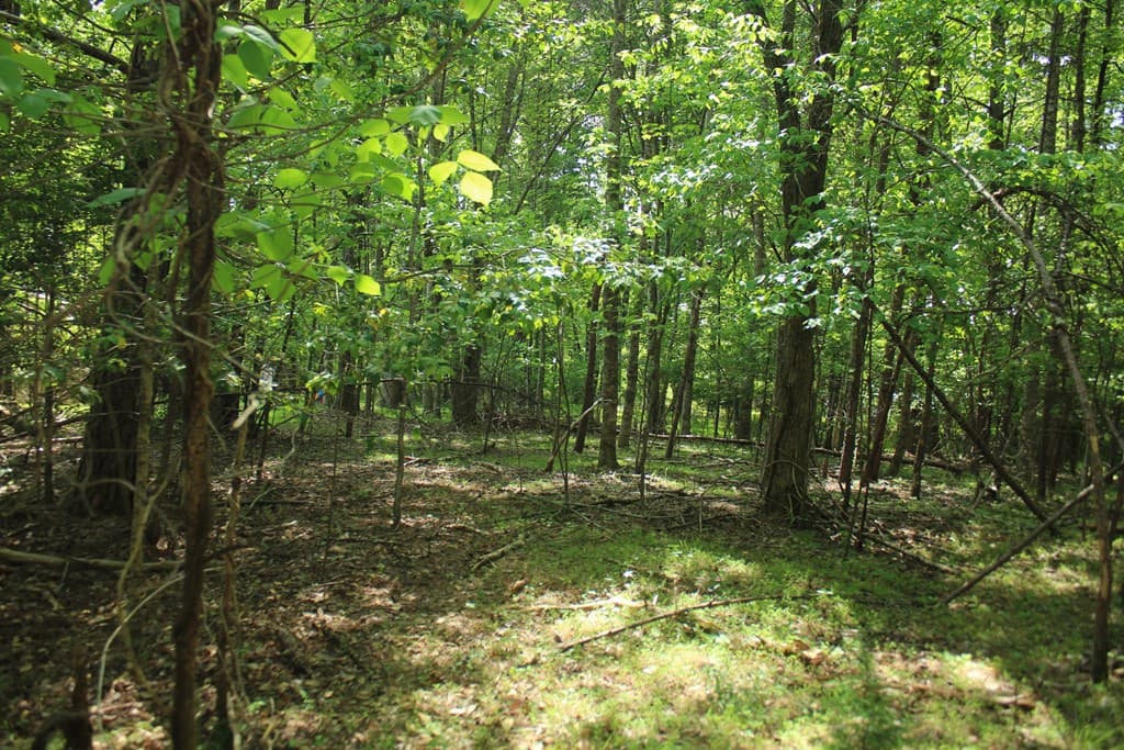 46 Chatuge Lane, Hayesville NC 28904 - Photo