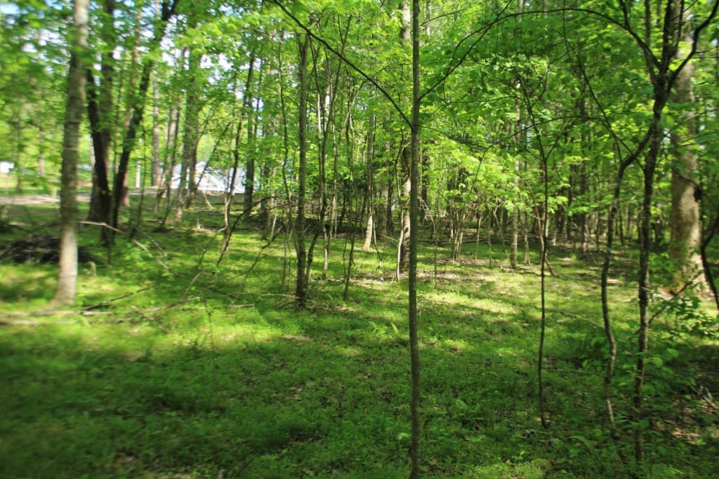 46 Chatuge Lane, Hayesville NC 28904 - Photo