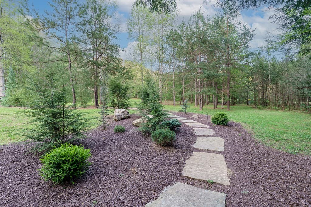 317 Crestview Lane, Cherry Log GA 30522 - Photo