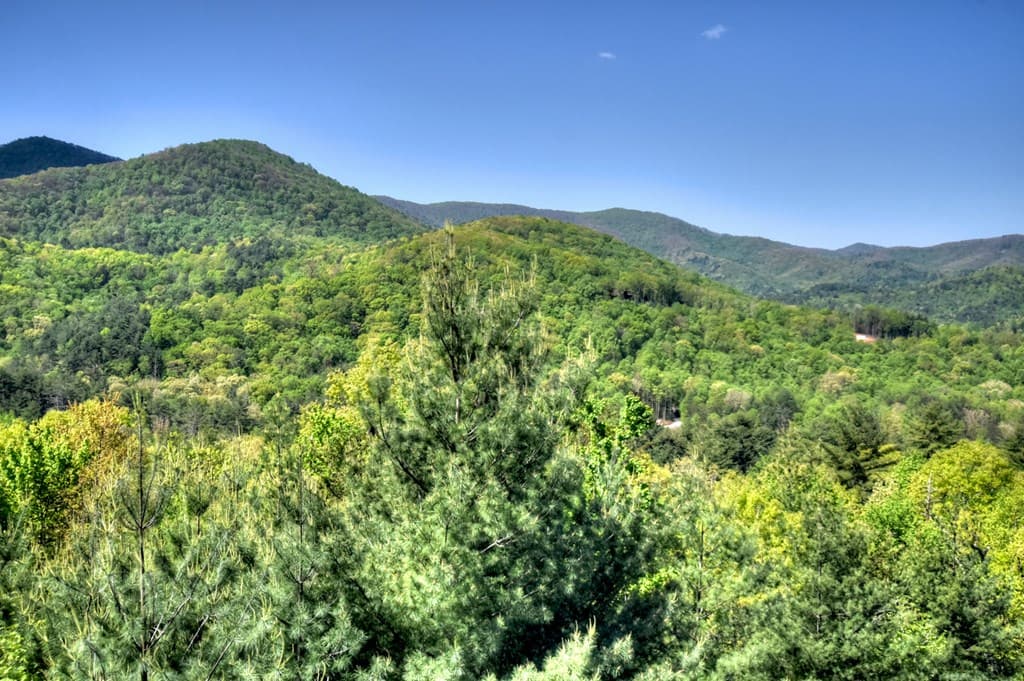 459 Quail Ridge Road, Blue Ridge GA 30513 - Photo