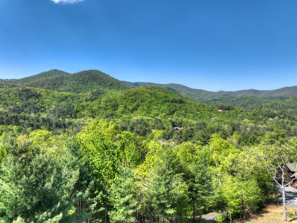459 Quail Ridge Road, Blue Ridge GA 30513 - Photo