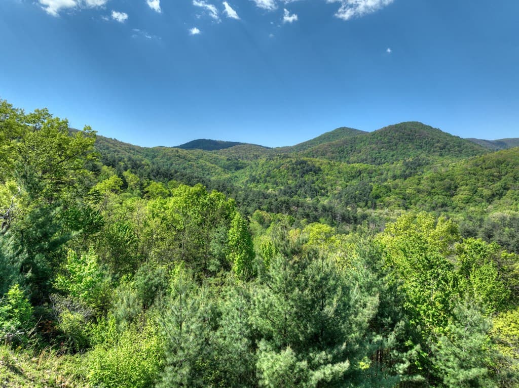 459 Quail Ridge Road, Blue Ridge GA 30513 - Photo