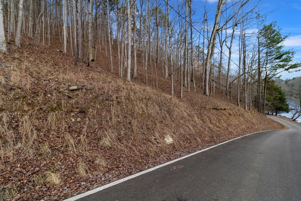 Lot 2965 Monticello Drive, Ellijay GA 30540 - Photo