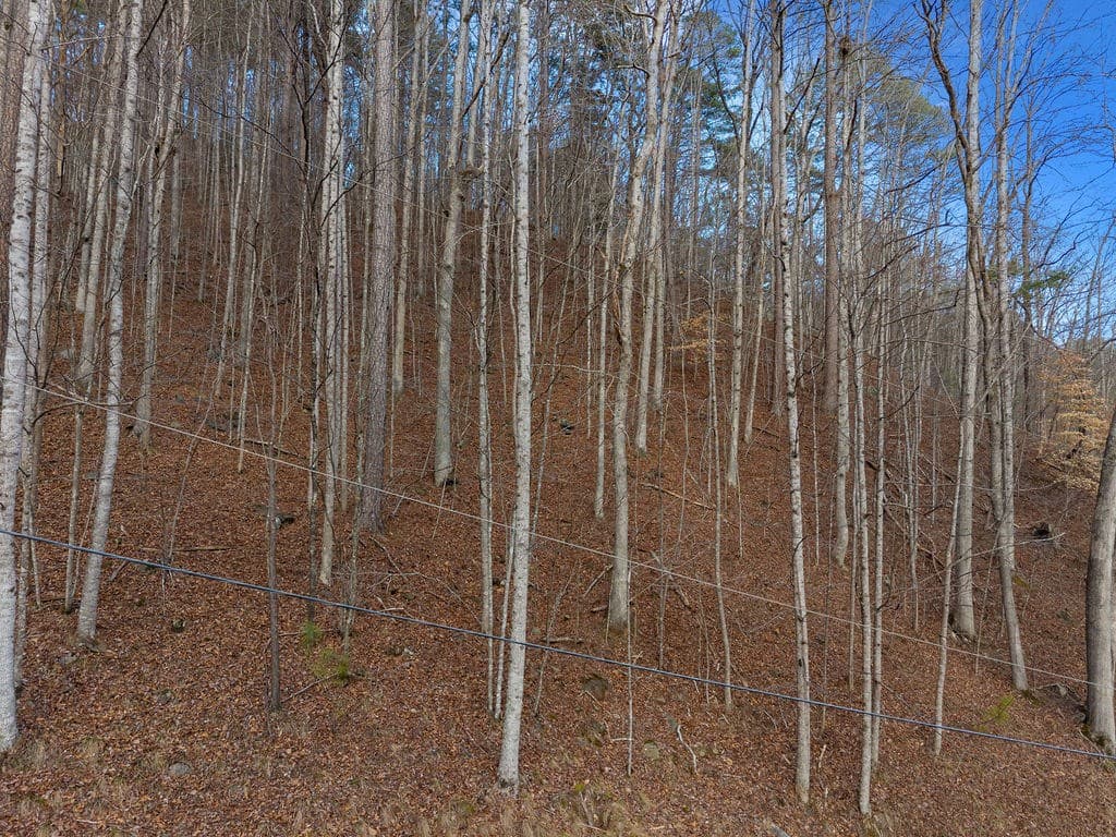 Lot 2965 Monticello Drive, Ellijay GA 30540 - Photo