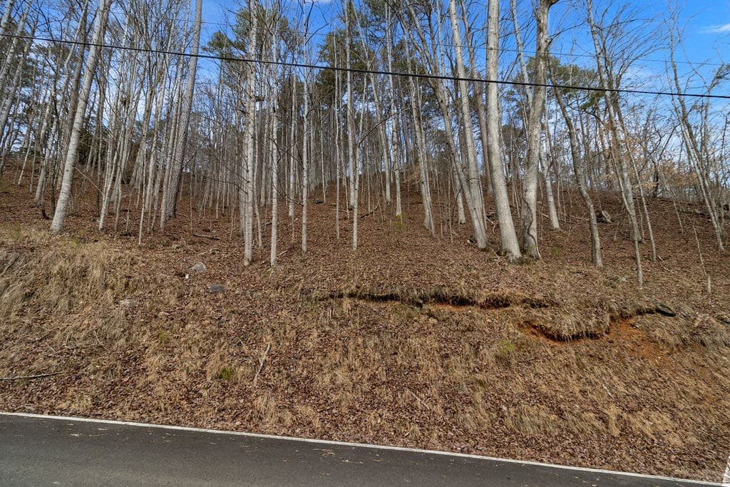 Lot 2965 Monticello Drive, Ellijay GA 30540 - Photo