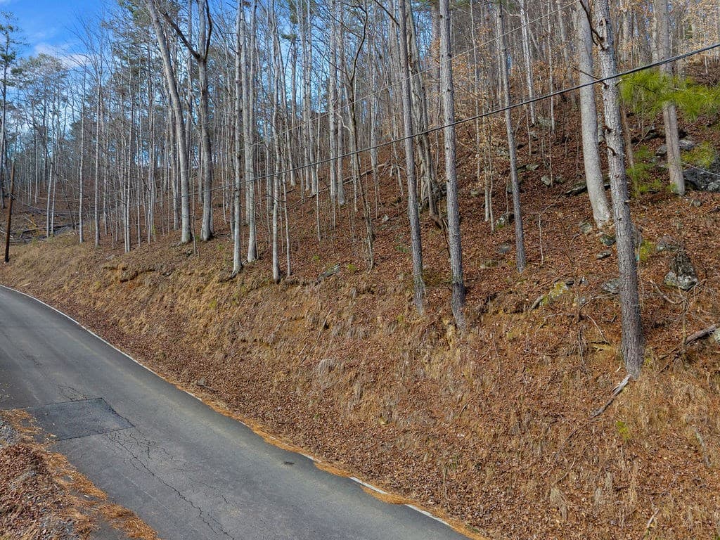Lot 2965 Monticello Drive, Ellijay GA 30540 - Photo